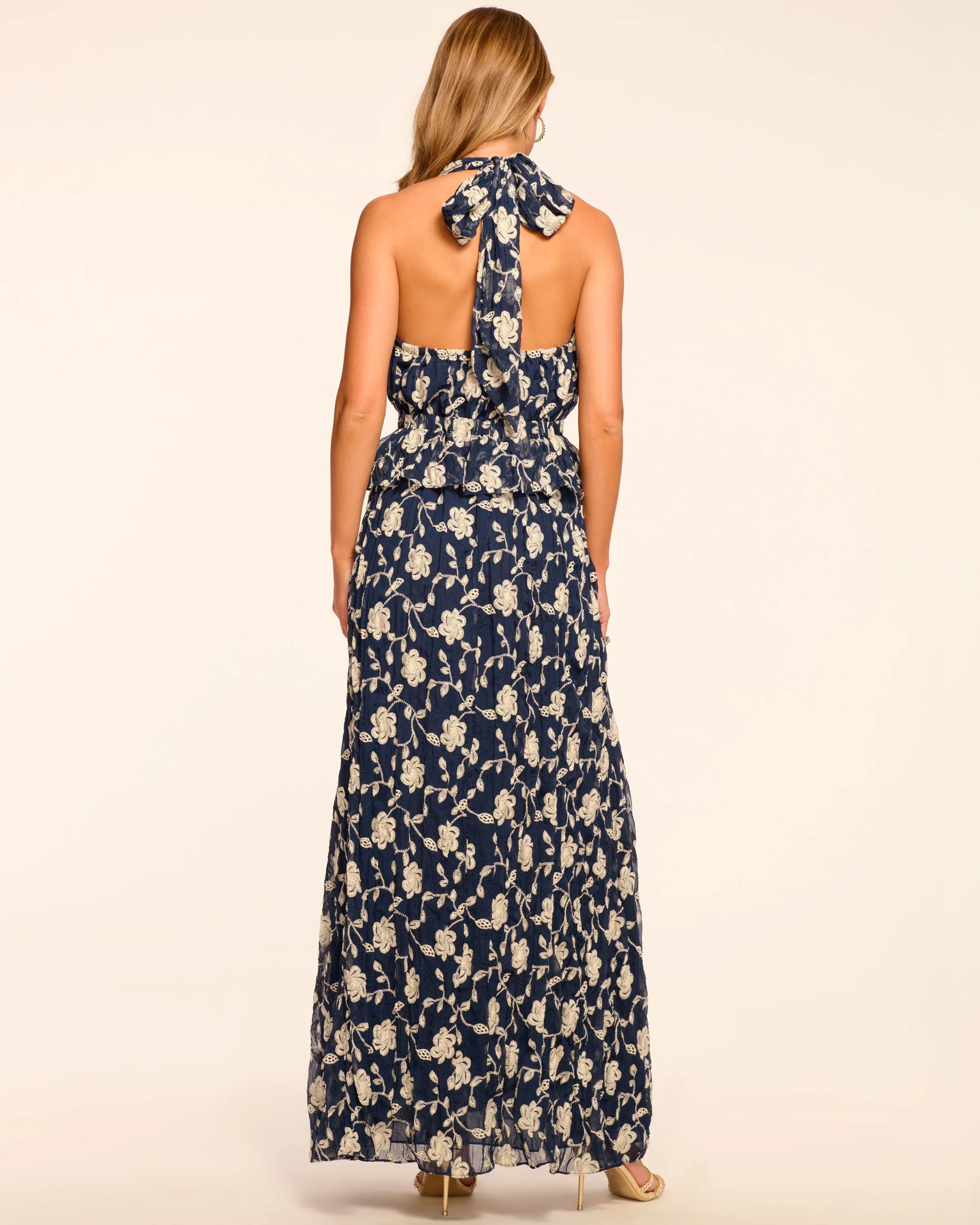 Genevieve Embroidered Chiffon Plunging Maxi Dress