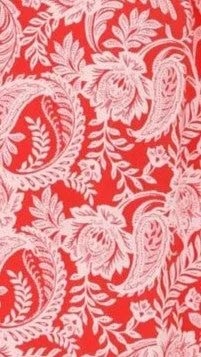 Jaylene Maxi Dress - Paisley Print