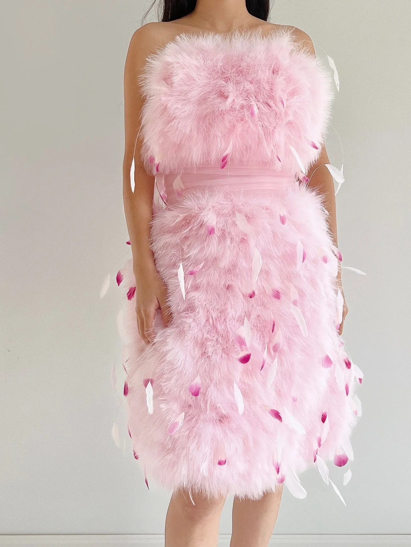 NWT Pamela Roland Pink Feather Dress - S/4
