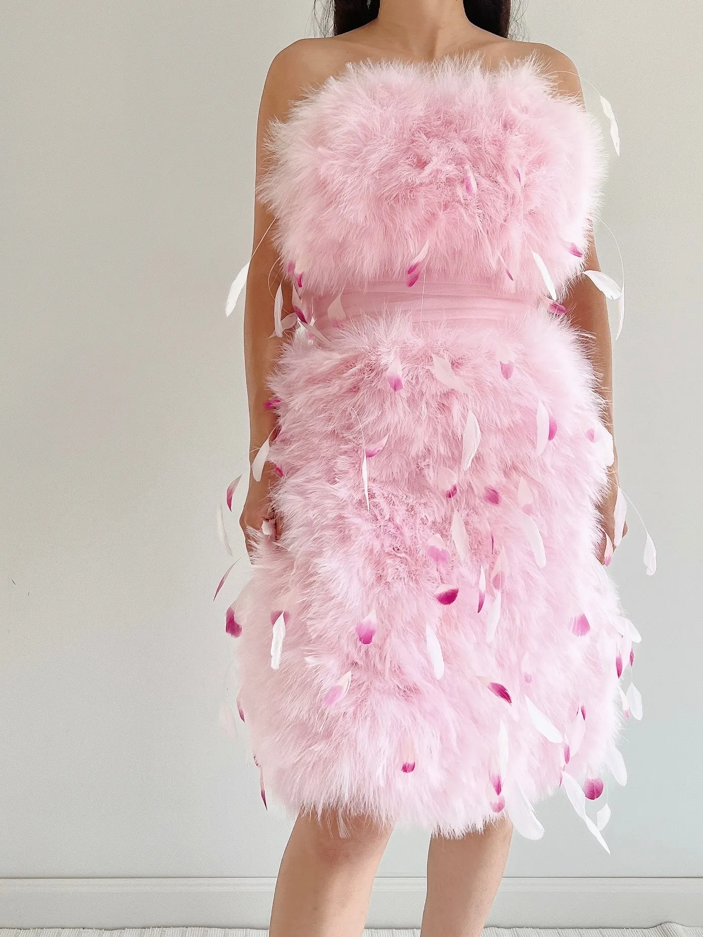 NWT Pamela Roland Pink Feather Dress - S/4