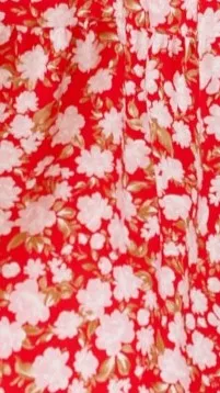 Sammi Mini Dress - Red Floral